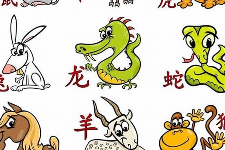 小人肖有哪几个生肖