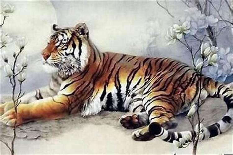 本命年生孩子有什么说法 生属虎孩子好吗？