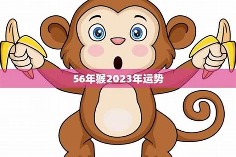为什么犯太岁的人那么多