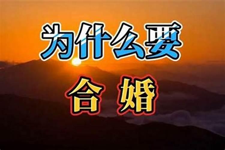 八字合婚的原则与注意事项解析
