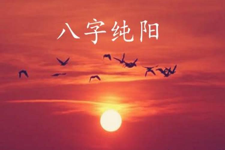 属虎的穿什么颜色衣服运气好