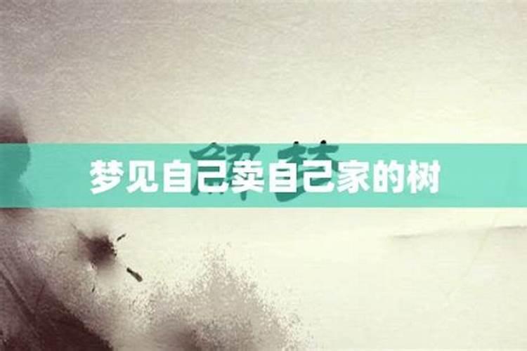 梦见美食什么意思