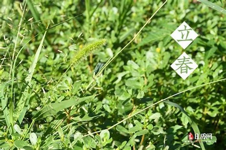 中山这里哪里有大点的寺院吗,可以烧香拜佛的