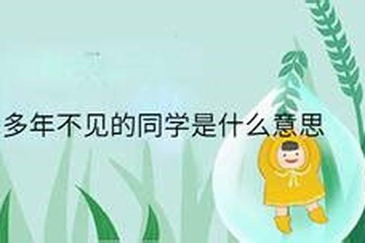 梦见和十几年的老同学相聚的预兆