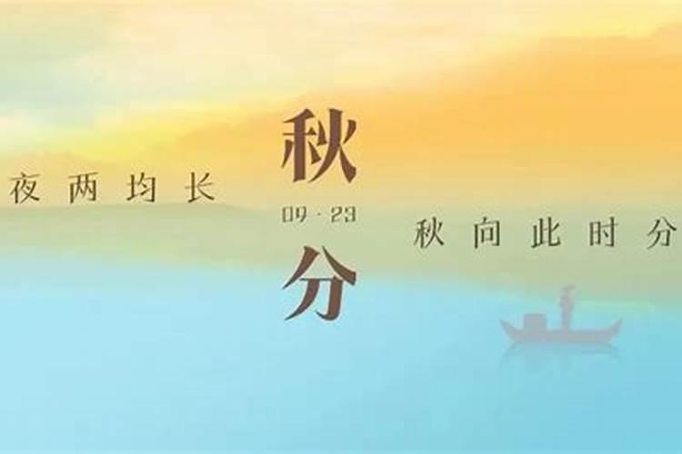 我是猪年的,听说今年会犯太岁,我应该怎么办？
