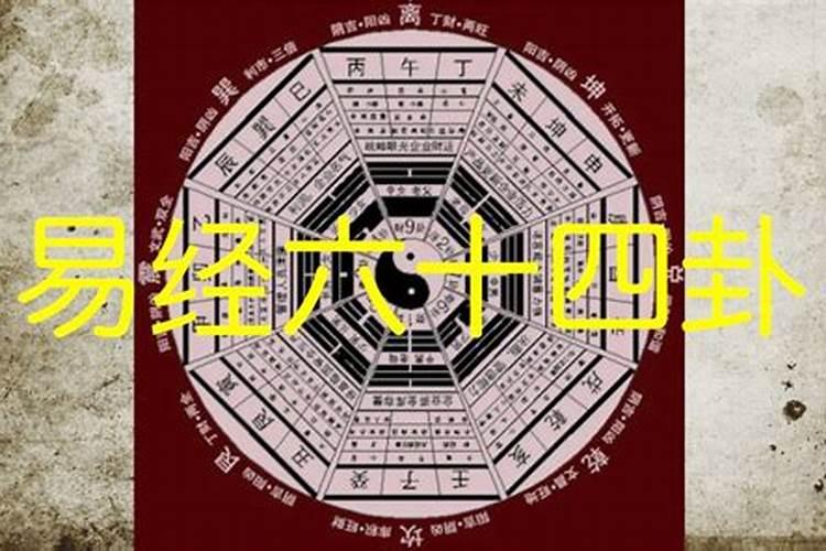 公历一九八七年五月十九日出生羊年的运程