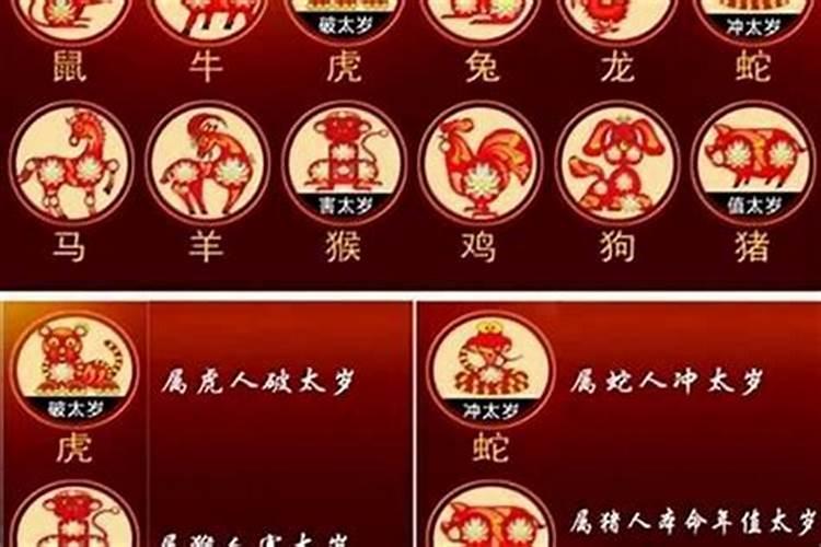 属龙的人2026年运势及运程