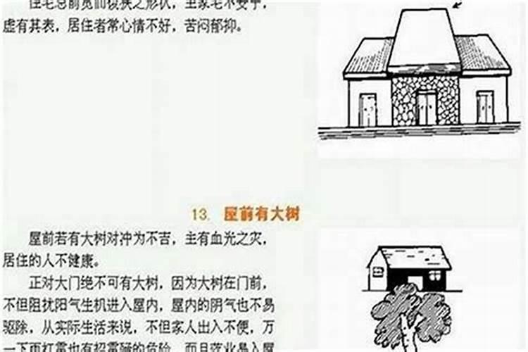85年的牛2025年运势