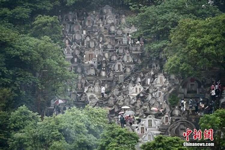 我说 天干 地支合化 需要什么原则 才合化成功!什么情况不成功!天干可 ...