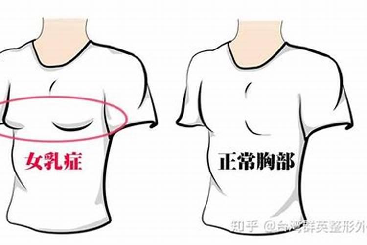 2025属鼠人的全年运势如何 鼠年运势2025年运程