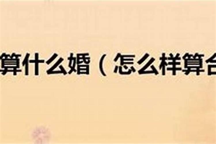 南方人为什么不吃饺子？