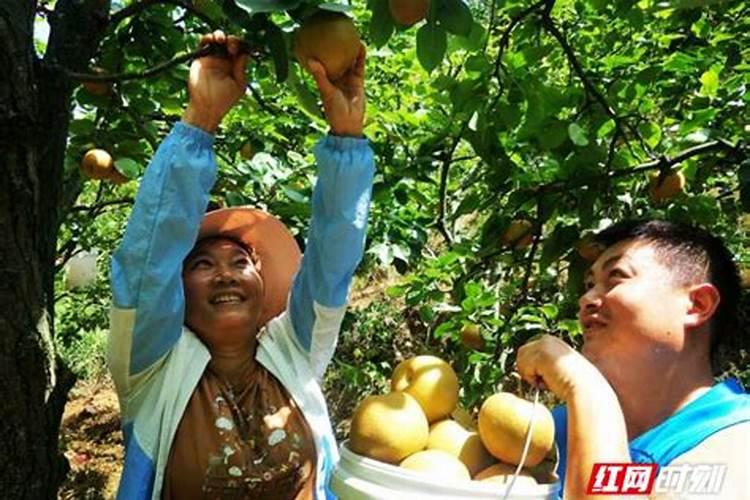 梦见舅舅一家人是什么意思