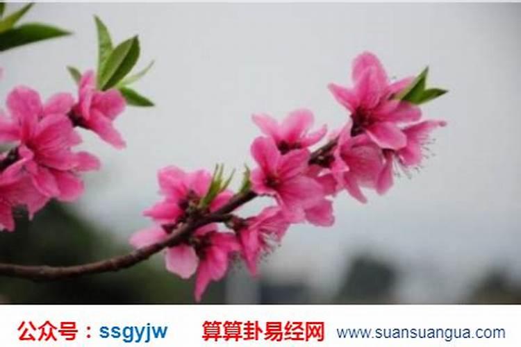 太岁的人能拜神贵人佛吗？