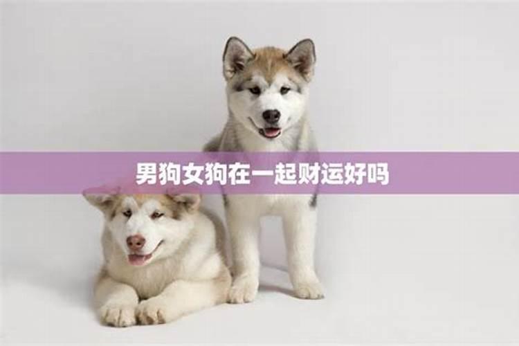 梦见和女朋友买车票的预兆