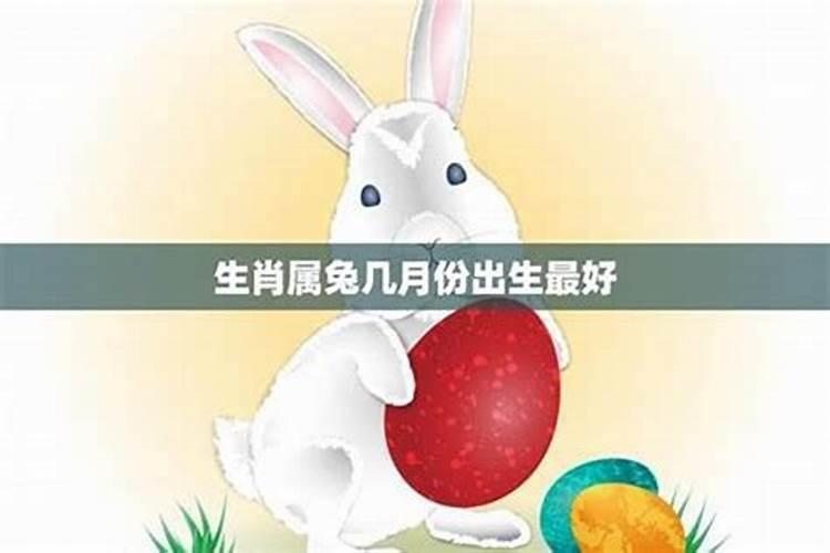 农历十月出生的属兔人运势