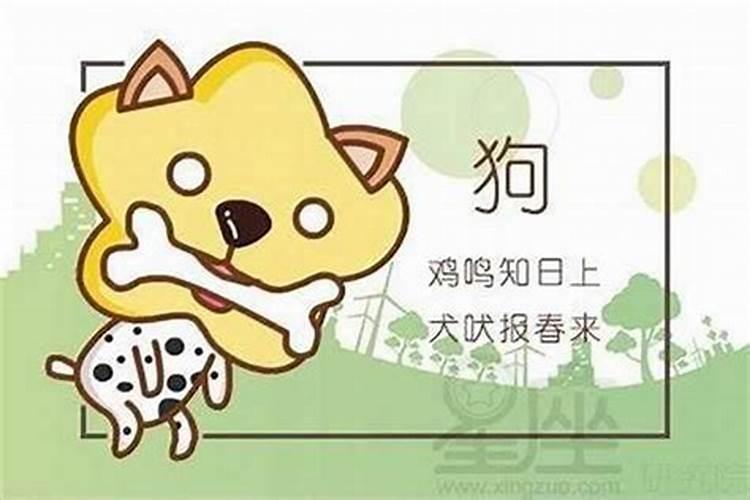 八字不合有什么解决方法 积德行善化解？