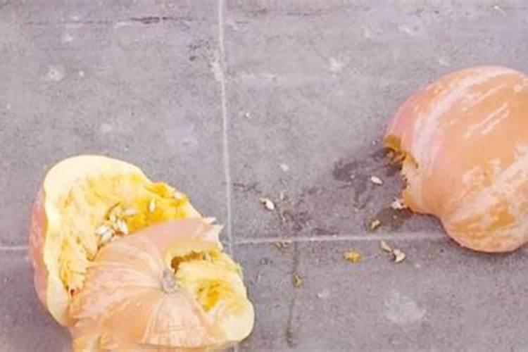 算卦双童子命是什么意思