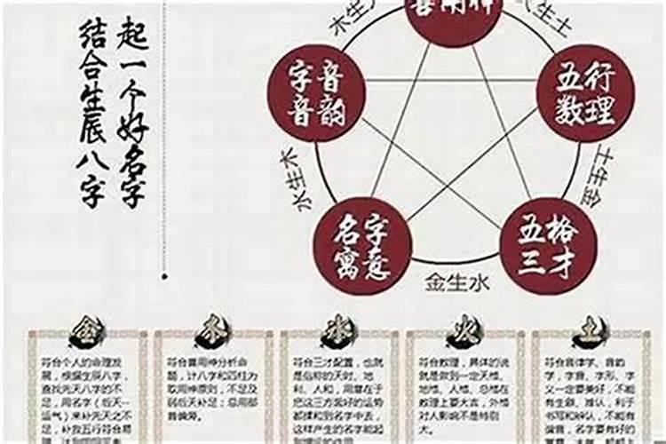 梦见泰迪狗是什么意思