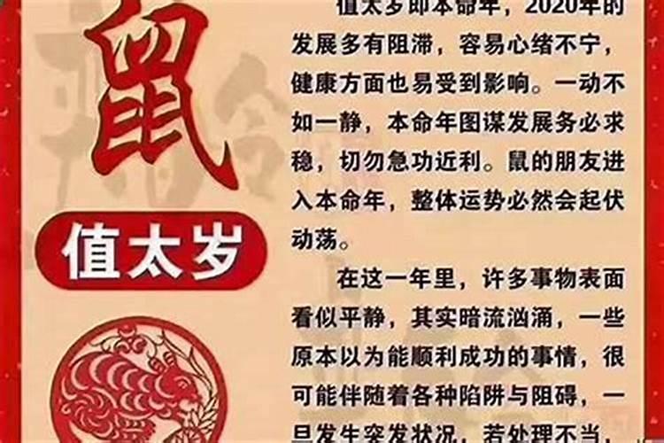 84年属鼠女在2025年每月运势