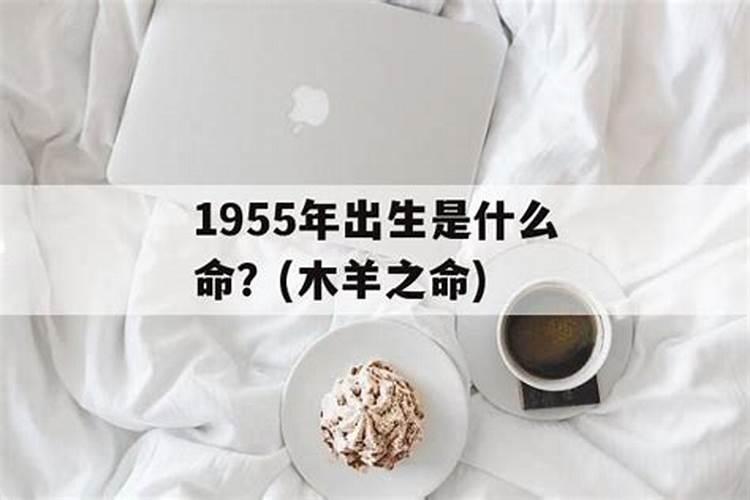1955年羊男出生于农历8月份生人在明年兔年命运