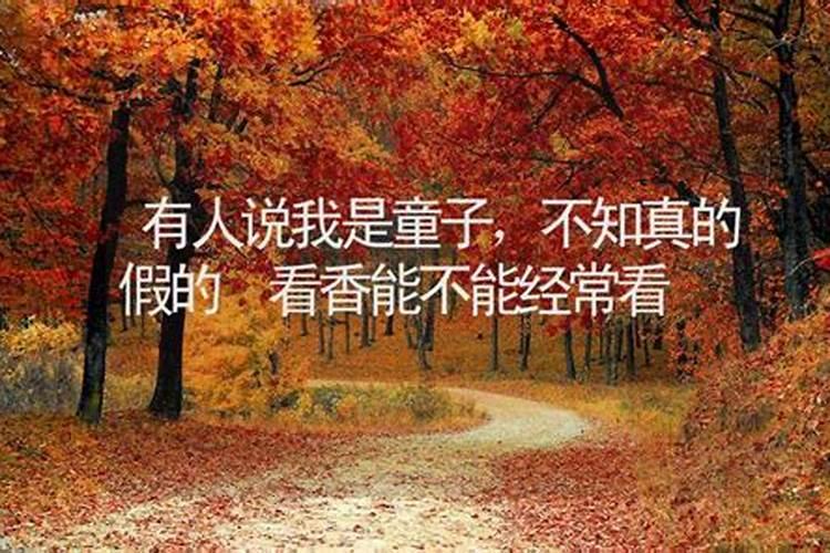 71年女猪2025桃花运