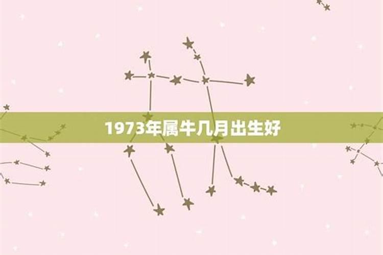 属牛1973年农历10月初5日出生人的运势