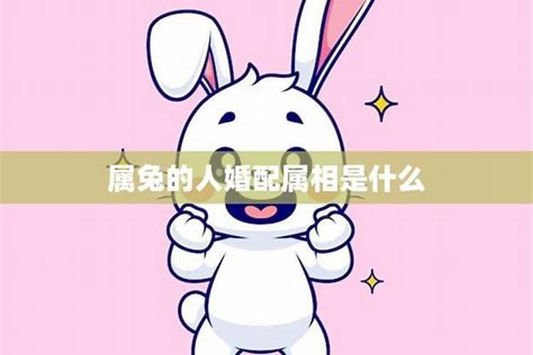 兔的最佳配偶属相是什么的属相婚配表大全