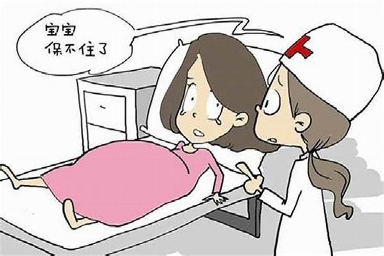 你不知道的道教高规法事:罗天大醮