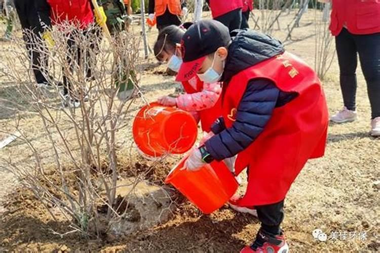 清明曾被定为植树节 清明节的植树习俗介绍