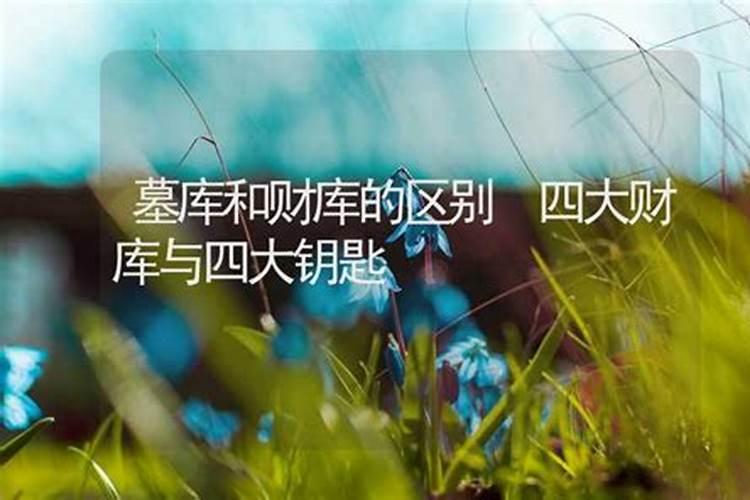 女孩子该不该去创业？？？
