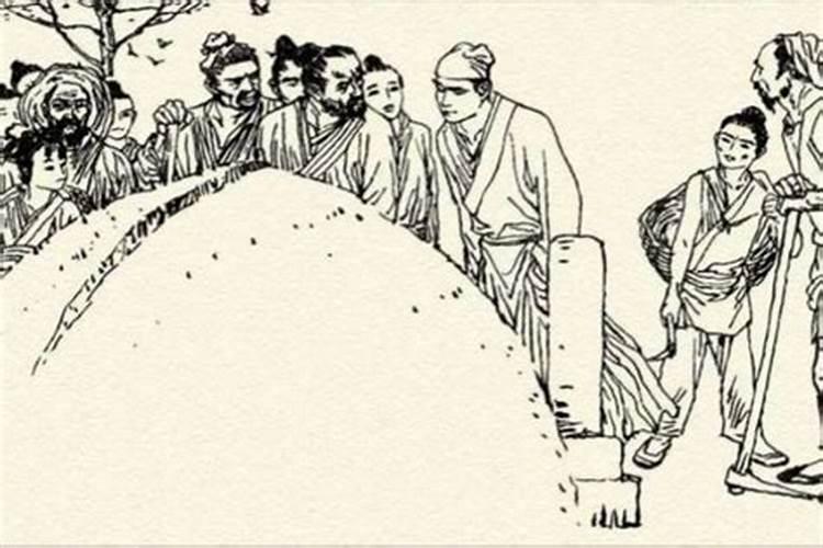 虎在蛇年2025的运气如何呢