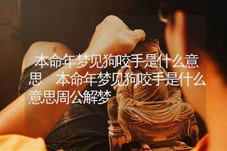 梦见狗咬手是什么意思