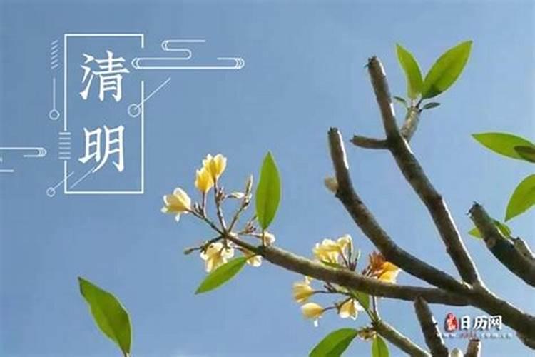 在过清明节的时候送花合适吗