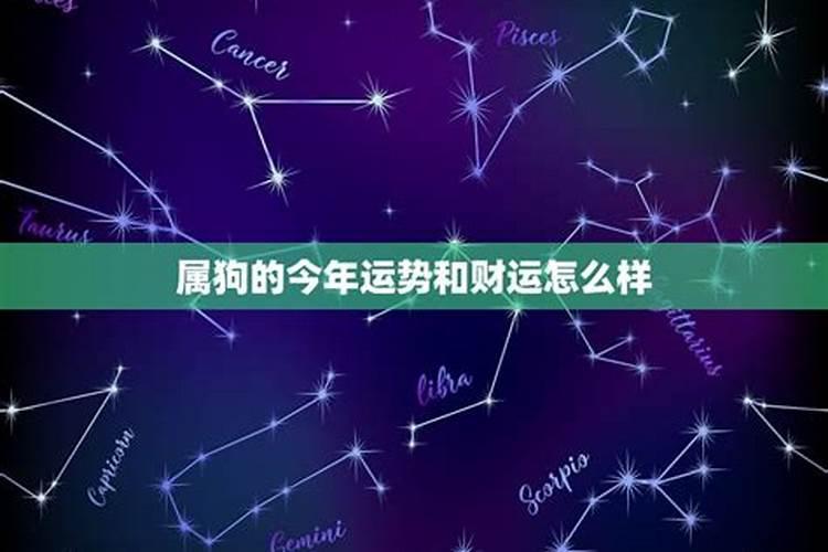 1982属狗人2025全年运势 1982狗在2025年运程