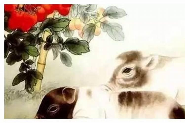 猪年属猪戴什么