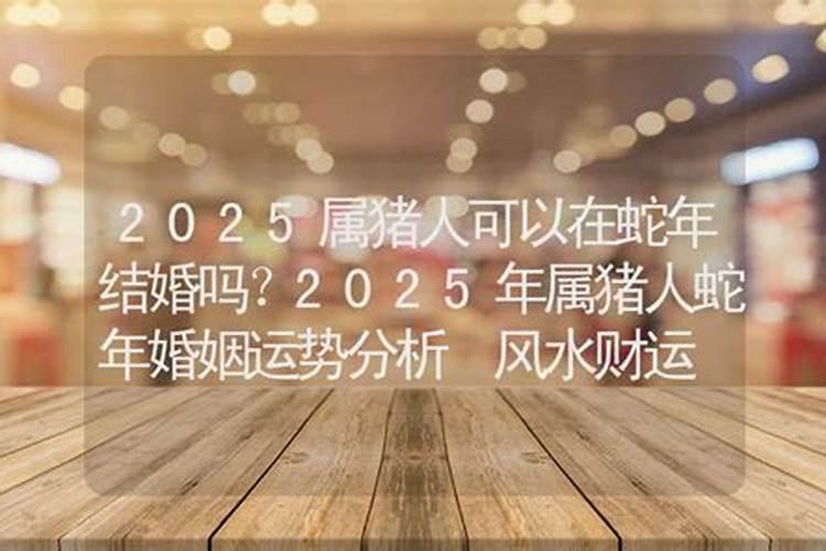 属兔的人今年婚姻如何