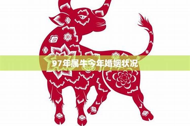 怎么根据五行八字选手机号