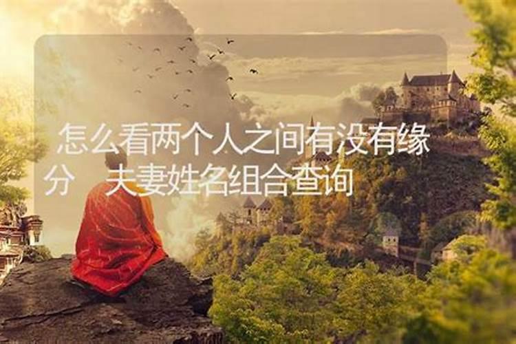 八字免费查真假童子