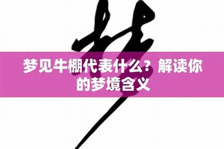 梦见牛和牛棚的预兆