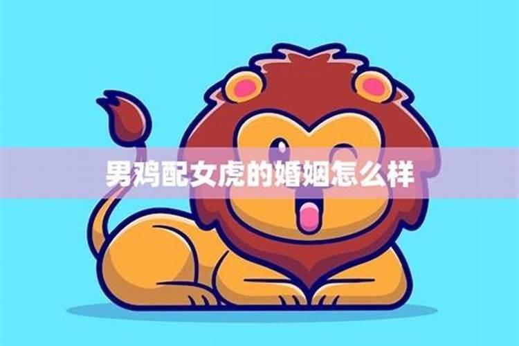 男鸡女虎婚姻是否相配