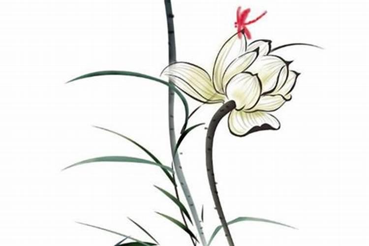 重阳节出生的纯阳女 天生运势强悍？