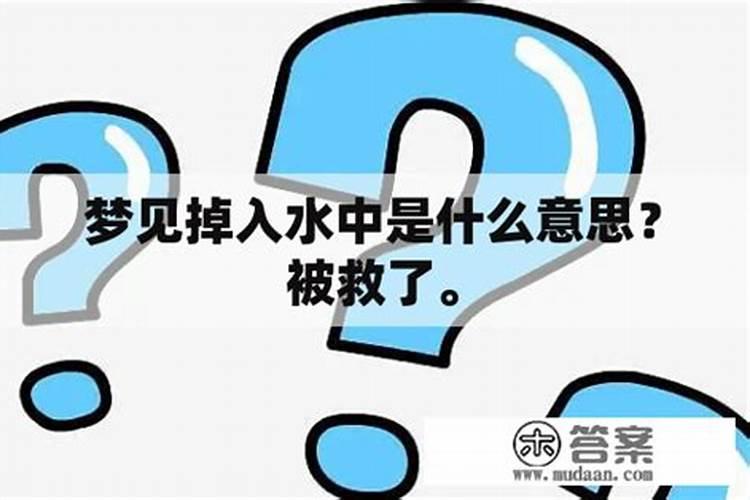 91年属羊人2025年全年运势详解