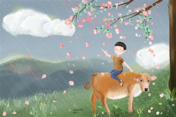 清明节生日的人运势如何
