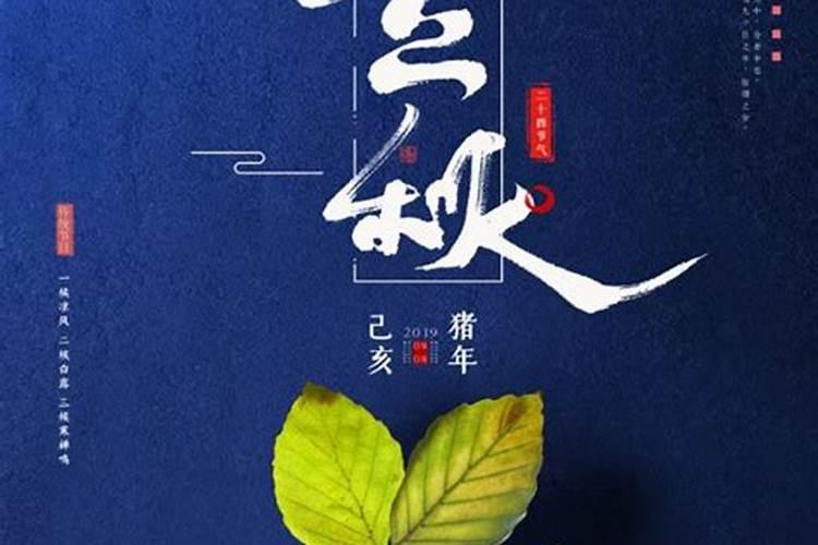 与秋天和猫有关的诗句