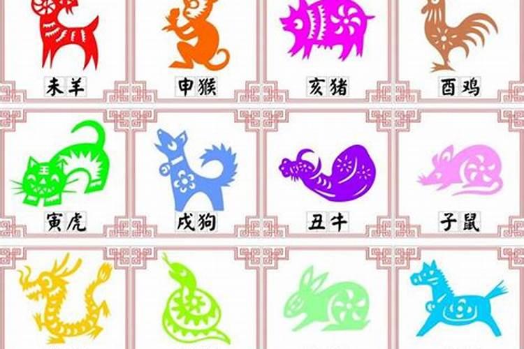 2025年属兔运势