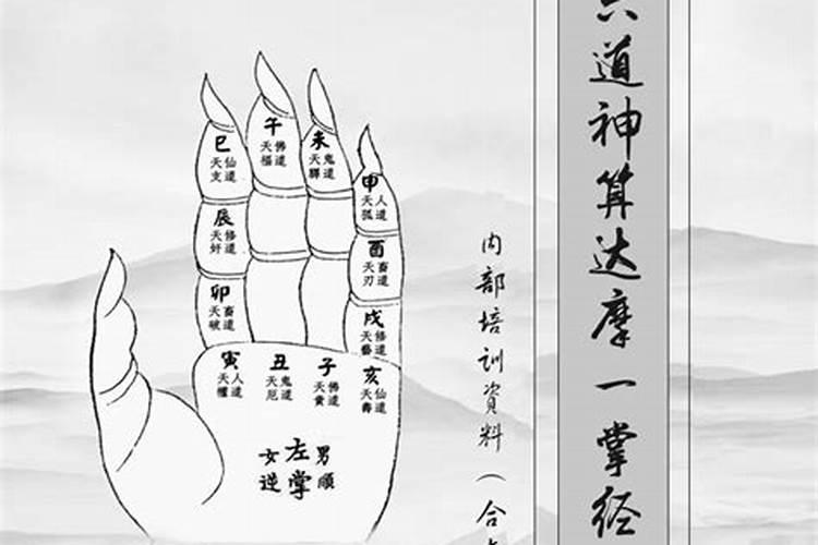耿飚传图书摘要