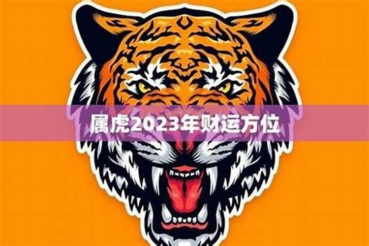 本命年属虎人财运如何 佩戴虎眼石聚财转运？