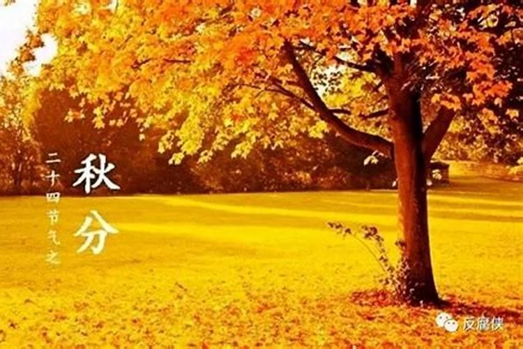 老寿星的命里藏有啥奥秘？