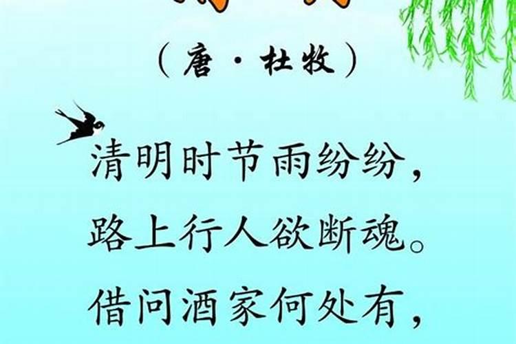 中班社会《清明节》教学反思