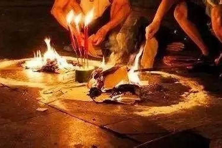 樱花树下三部曲顺序